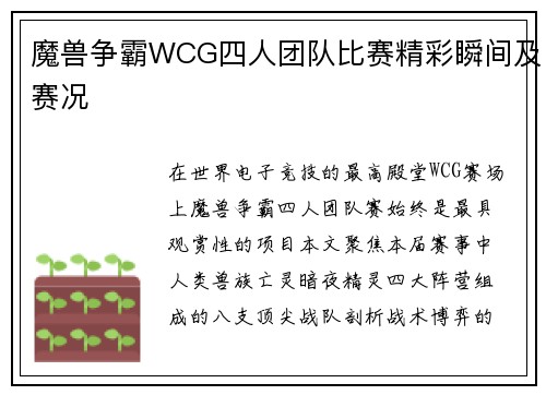 魔兽争霸WCG四人团队比赛精彩瞬间及赛况
